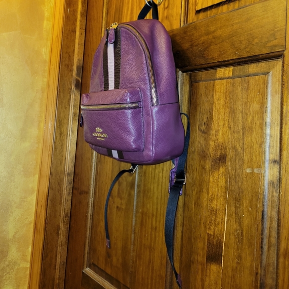 Coach Jes Berry Multi Pebbled Leather Small Backpack Varsity Stripe F89167 - Picture 3 of 16